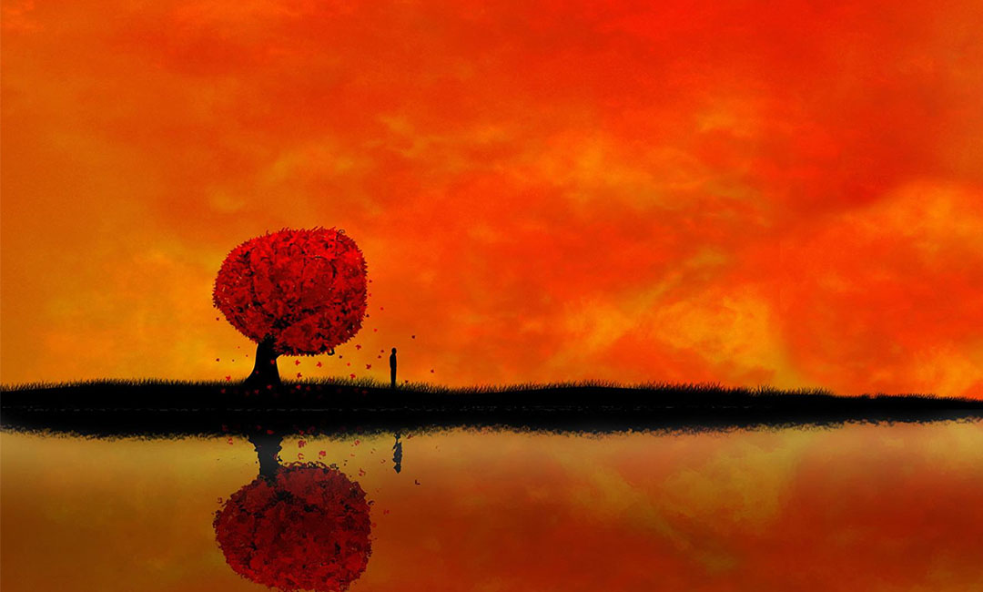 银川笙影微信朋友圈转发案例